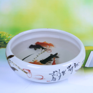 如何摆放金鱼缸才可旺财