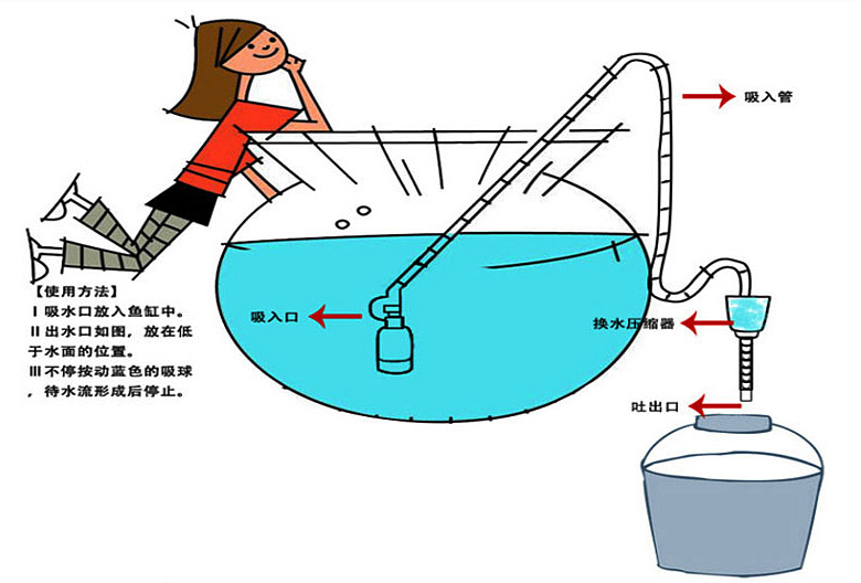 陶瓷大缸换水图