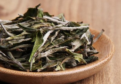老白茶属于什么茶-老白茶的功效与作用