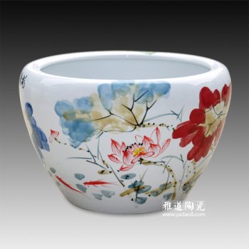 水缸养金鱼的方法