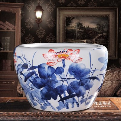 陶瓷缸适合养什么鱼？